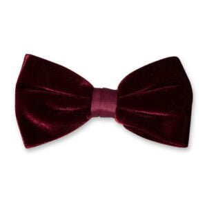 Nœud papillon en velours bordeaux – Image 1